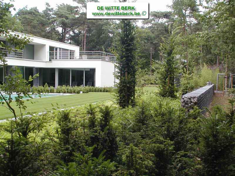 tuinwerken de witte berk